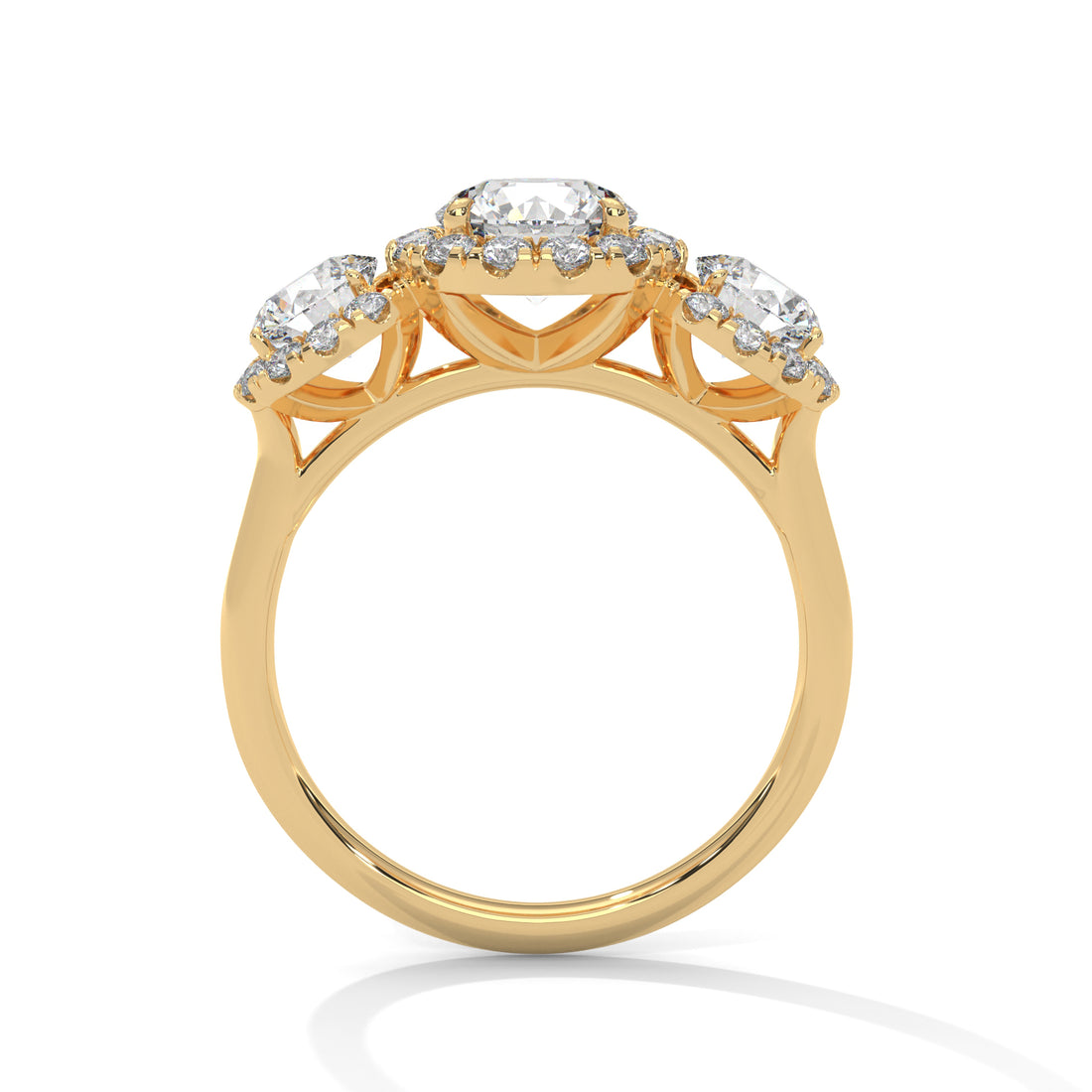 Round Cut Three Stone Halo Engagement & Anniversary Ring